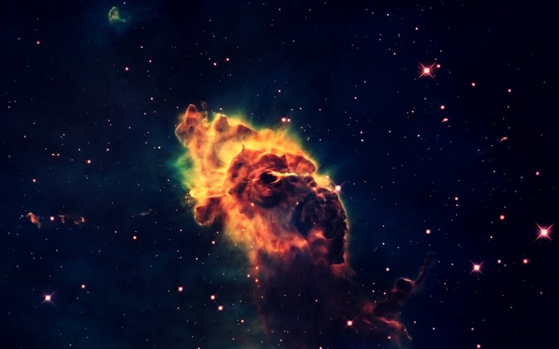Star Sightings